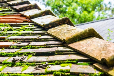 Pourquoi le nettoyage de toiture &agrave; Reims est crucial pour votre habitat